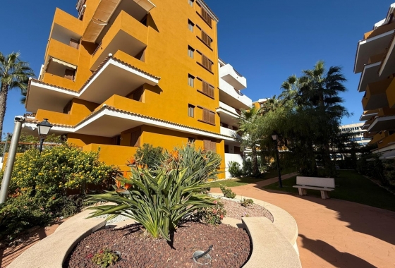 Reventa - Apartamento / piso - Torrevieja - Punta Prima