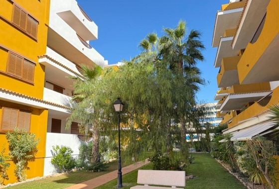 Reventa - Apartamento / piso - Torrevieja - Punta Prima