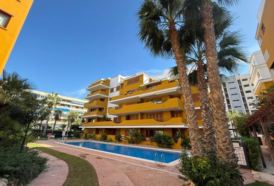 Reventa - Apartamento / piso - Torrevieja - Punta Prima
