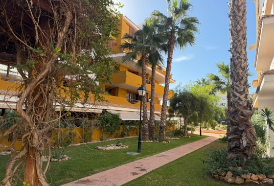 Reventa - Apartamento / piso - Torrevieja - Punta Prima