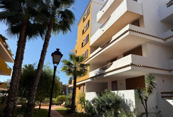 Reventa - Apartamento / piso - Torrevieja - Punta Prima