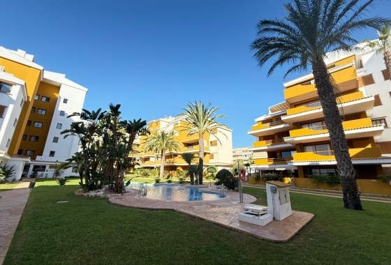 Reventa - Apartamento / piso - Torrevieja - Punta Prima
