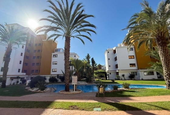 Reventa - Apartamento / piso - Torrevieja - Punta Prima