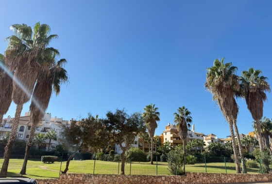 Reventa - Apartamento / piso - Torrevieja - Punta Prima