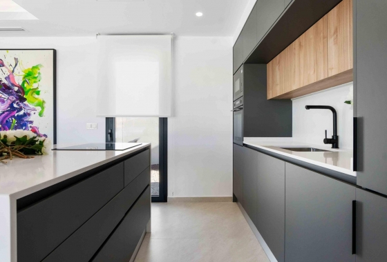 Obra nueva - Villa - Rojales - Benimar