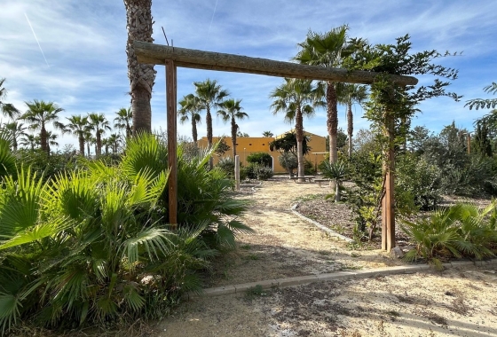 Reventa - Adosado - Dolores - Costa Blanca