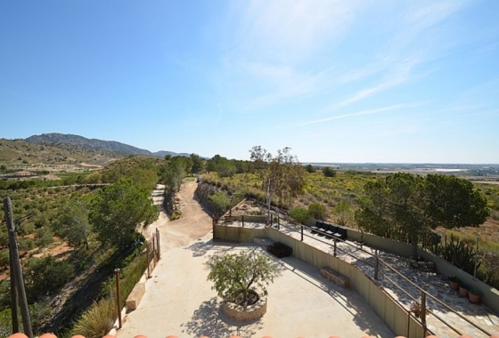 Reventa - Finca - Gea Y Truyols - Inland