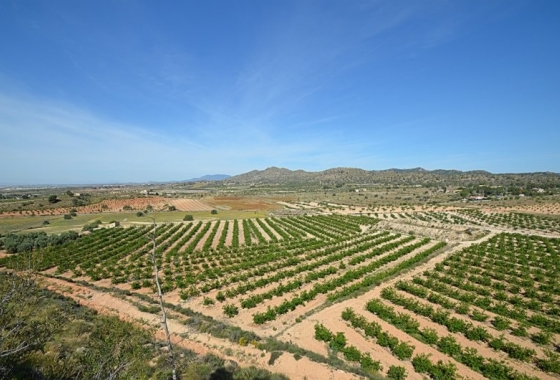 Reventa - Finca - Gea Y Truyols - Inland