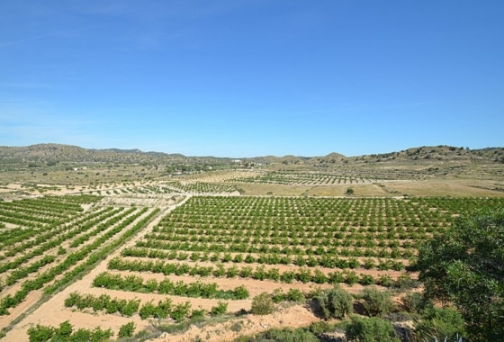 Reventa - Finca - Gea Y Truyols - Inland