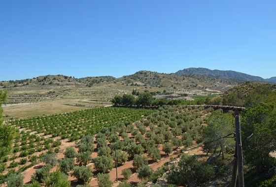 Reventa - Finca - Gea Y Truyols - Inland