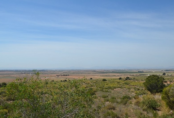 Reventa - Finca - Gea Y Truyols - Inland