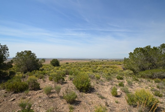 Reventa - Finca - Gea Y Truyols - Inland