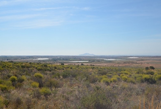 Reventa - Finca - Gea Y Truyols - Inland