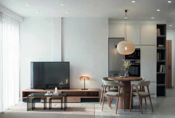 Nouvelle construction - Attique - Torrevieja