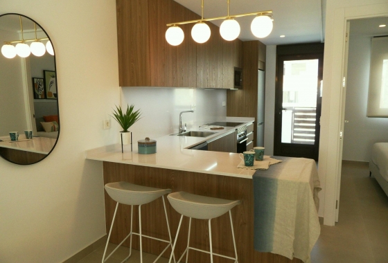 Obra nueva - Villa - Pilar de la Horadada - El Pilar de la Horadada