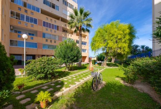 Reventa - Apartamento / piso - Torrevieja - La Veleta