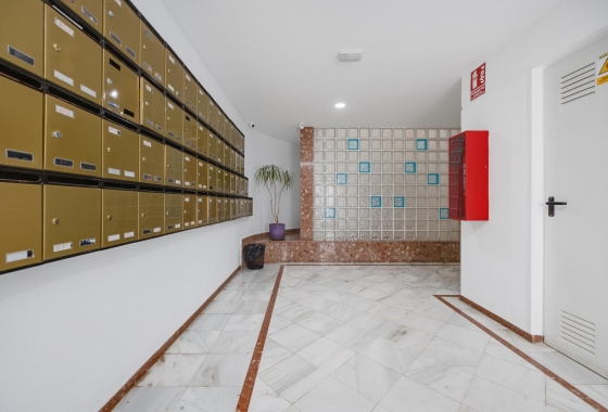 Reventa - Apartamento / piso - Torrevieja - La Veleta