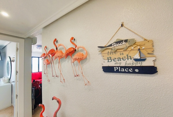 Reventa - Apartamento / piso - Torrevieja - Costa Blanca