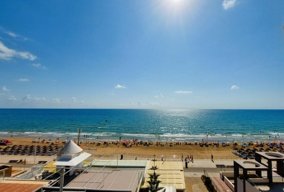 Reventa - Apartamento / piso - Torrevieja - Costa Blanca