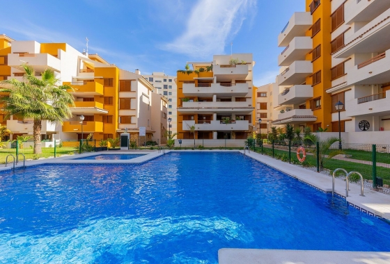 Reventa - Apartamento / piso - Torrevieja - Punta Prima