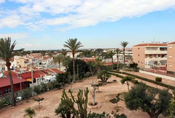 Reventa - Apartamento / piso - Mil Palmeras - Costa Blanca