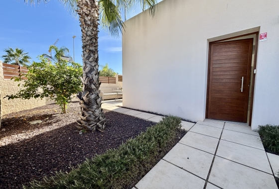 Obra nueva - Chalet - Benijofar