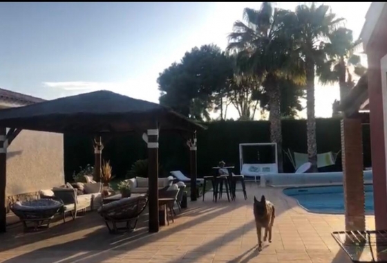 Resale - Villa - Elda - Inland