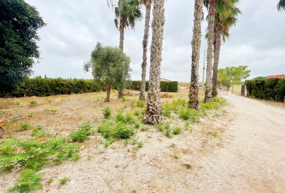 Resale - Finca - Daya Vieja - Costa Blanca