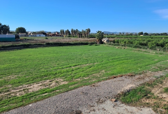 Revente - Finca - Benejúzar