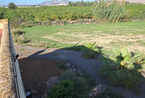 Revente - Finca - Benejúzar