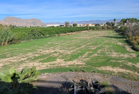 Revente - Finca - Benejúzar