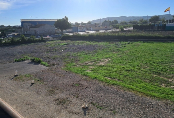 Revente - Finca - Benejúzar