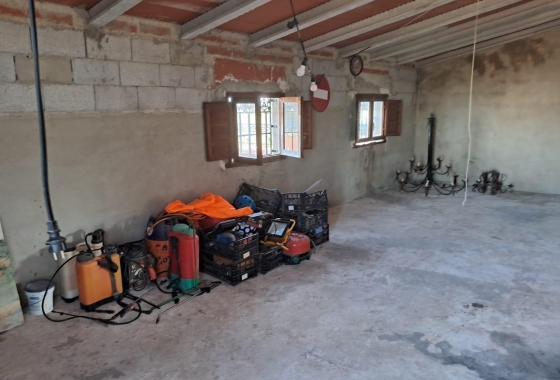 Revente - Finca - Benejúzar