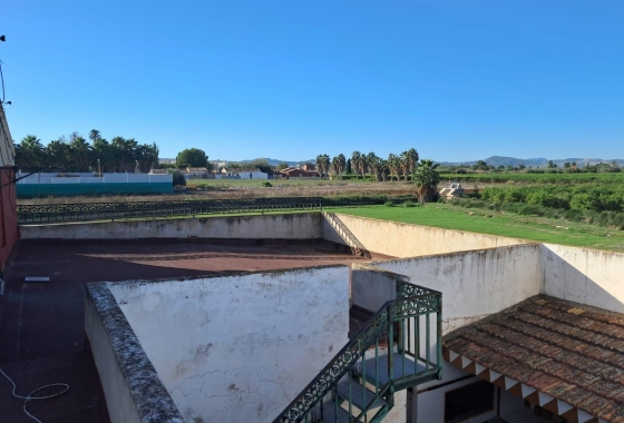 Revente - Finca - Benejúzar