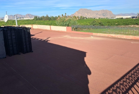 Revente - Finca - Benejúzar