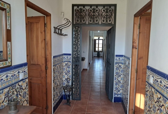 Revente - Finca - Benejúzar