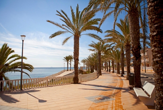 Resale - Apartment / flat - Pilar de la Horadada - Torre De La Horadada