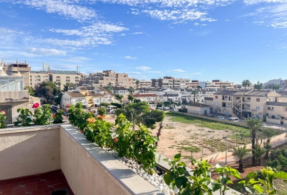 Revente - Appartement - Torrevieja - Costa Blanca
