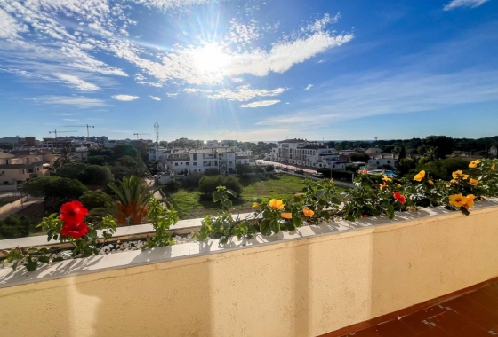 Revente - Appartement - Torrevieja - Costa Blanca