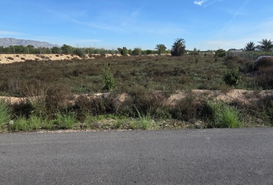 Resale - Finca - Albatera - Inland