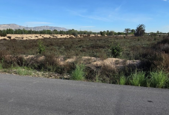 Resale - Finca - Albatera - Inland