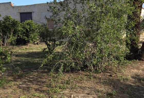 Resale - Finca - Albatera - Inland