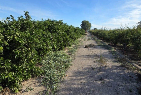 Resale - Finca - Albatera - Inland