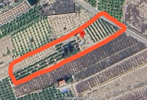Resale - Finca - Albatera - Inland