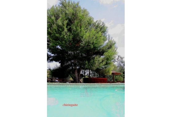 Reventa - Finca - Gea Y Truyols - Sierra de Columbares Natural Park