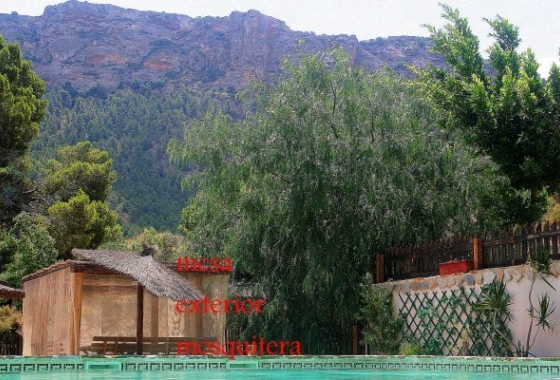 Reventa - Finca - Gea Y Truyols - Sierra de Columbares Natural Park