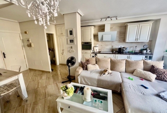 Reventa - Adosado - Orihuela Costa - Inland