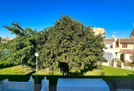 Reventa - Adosado - Torrevieja - Estacion De Autobuses