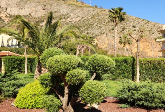 Reventa - Apartamento / piso - Altea - Costa Blanca