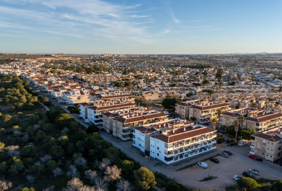 Reventa - Apartamento / piso - Torrevieja - La Siesta